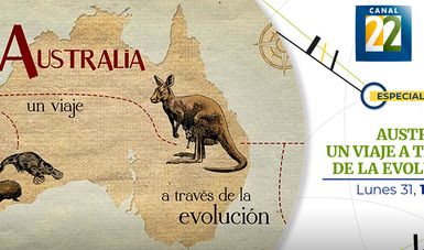 Australia, un viaje a través de la evolución | Secretaría de Cultura |  Gobierno 