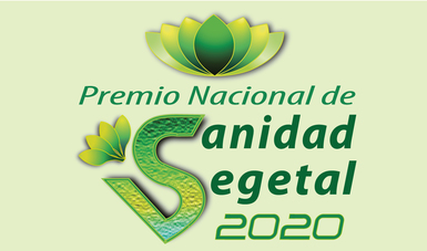 Convoca Agricultura al Premio Nacional de Sanidad Vegetal 2020.