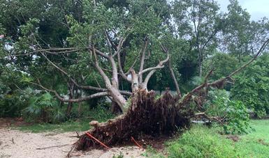 Afectaciones en caminos y senderos por la tormenta tropical Gamma. Fotos: INAH