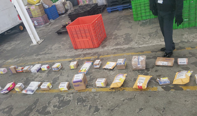 En la paquetería del Aeropuerto de Toluca, Guardia Nacional incauta diversos narcóticos en 32 envíos 
