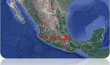 mapa de la situación de incendios forestales en México