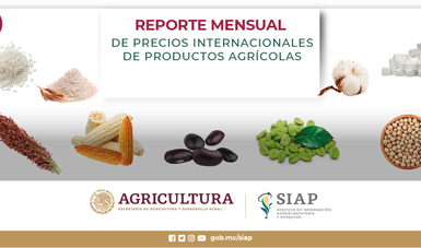 Reporte mensual de Precios Internacionales de productos agrícolas
