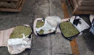 Aduanas, Marina-Armada de México y FGR decomisan más de una tonelada de marihuana en el puerto de Manzanillo