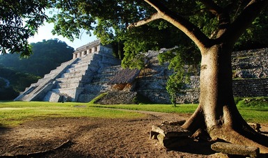 Con el objetivo de mantener el compromiso sustantivo del Instituto Nacional de Antropología e Historia (INAH) dentro de la Zona Arqueológica de Palenque, en Chiapas, concluyó la actualización del Plan de Manejo de este sitio.