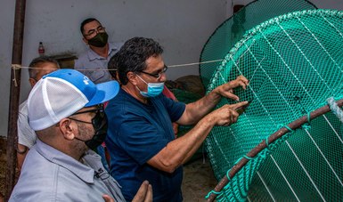 Preparan pescadores de camarón de altamar artes de pesca que cumplen con el uso correcto de los Dispositivos Excluidores de Tortugas.
