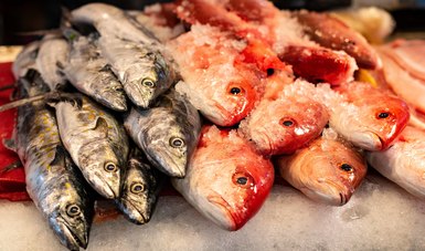 Disponible en todo el año amplia variedad de pescados y mariscos en el país.