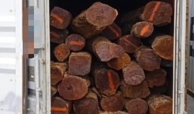 FGR asegura en Yucatán, madera que sería exportada a China.