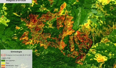Polígono en el estado de Chiapas