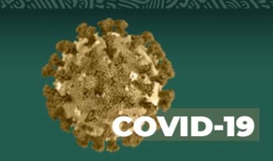 Imagen del coronavirus.