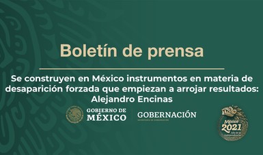 Se construyen en México instrumentos en materia de desaparición forzada que empiezan a arrojar resultados: Alejandro Encinas