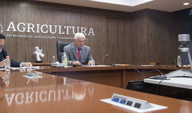 El secretario Víctor Villalobos Arámbula, convocó a empresarios mexicanos a participar en proyectos de inversión en los sectores agropecuario, pesquero y acuícola, principalmente en el sur sureste del país, región con alto potencial productivo.