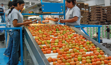 Registra balanza comercial agroalimentaria de México superávit de cuatro mil 959 millones de dólares en enero-julio.