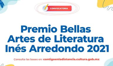 Las candidaturas al premio serán recibidas vía digital a través de la Plataforma de Participación de los Premios Bellas Artes de Literatura.