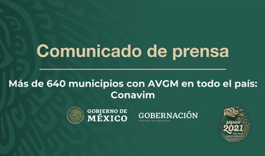 Más de 640 municipios con AVGM en todo el país: Conavim