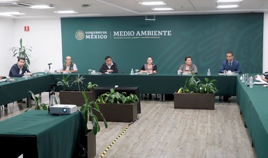 La secretaria Albores González comentó que la estrategia dio inicio en los estados de Chihuahua, Jalisco, Estado de México, Guerrero, Chiapas y Campeche. 