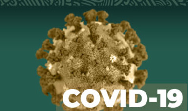 Imagen del coronavirus.