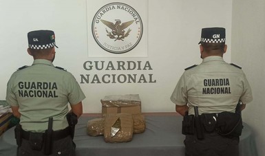 Binomio canino de la Guardia Nacional detecta tres envoltorios con aparente marihuana en Jalisco