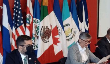 Impulsa México a nivel regional políticas y acciones con visión de derechos humanos en materia migratoria