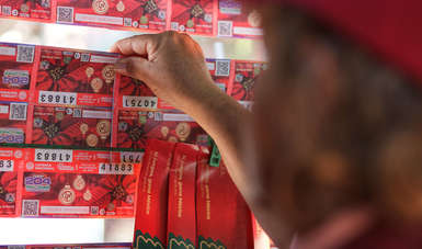 Fotografía de una billetera de Lotería Nacional acomodando cachitos de El Gordo de Navidad en su expendio.