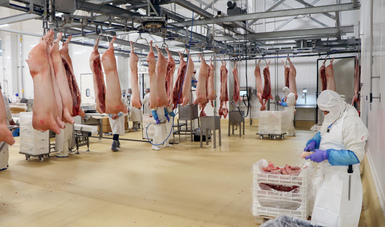 Las secretarías de Agricultura y Desarrollo Rural y de Economía convocaron a los gobiernos estatales a fortalecer la promoción entre ganaderos y empresas procesadoras de cárnicos para que exporten carne de cerdo a Japón