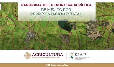 La frontera agrícola es el conjunto de terrenos con actividad agrícola más los terrenos que en los últimos 5 años tuvieron actividad y hoy se encuentran en descanso.