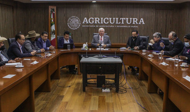 La Secretaría de Agricultura y Desarrollo Rural inició la facilitación de la negociación de cosecha de cebada maltera para el ciclo agrícola Primavera-Verano 2022.