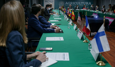La Secretaría de Agricultura y Desarrollo Rural y el Grupo de Trabajo de Agregados Agrícolas en México (GTAAM) se pronunciaron por reforzar la cooperación internacional y el intercambio comercial agroalimentario entre las naciones integrantes.