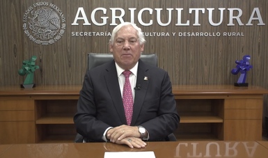 México, referente mundial en el cultivo y exportación de jitomate: Agricultura.