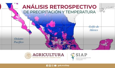 Análisis retrospectivo de precipitación y temperatura