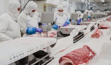 Crece 2.0 producción de carne de cerdo en México, impulsada por estándares de sanidad e inocuidad.
