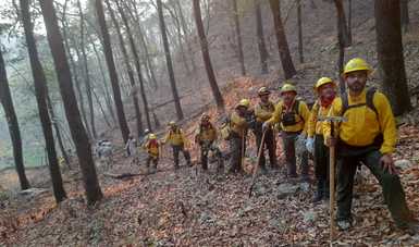 Combate de incendios forestales en Nuevo León