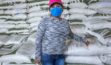 Amplía Gobierno de México programa de fertilizante gratuito a nueve entidades este año.