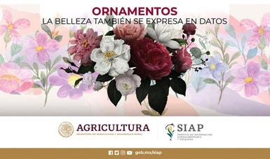Presenta indicadores de la producción de ornamentos generados por la floricultura mexicana para atender la demanda interna que se gesta durante la celebración de eventos especiales para la población nacional.