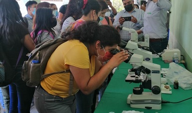 Estudiante observando en miscroscopio