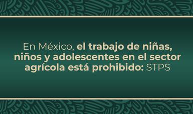 En México, el trabajo de niñas, niños y adolescentes en el sector agrícola está prohibido: STPS