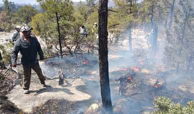 En Chihuahua, Guardia Nacional activa Plan GN-A para combate a incendios forestales