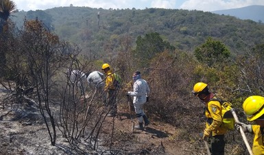 En Nuevo León, Guardia Nacional activa Plan GN-A para combatir incendio forestal
