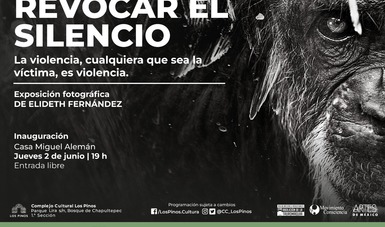 La exposición fotográfica “Revocar el Silencio. La Violencia, Cualquiera que Sea la Víctima, es Violencia” exhibe y denuncia el maltrato y la explotación hacia los animales.