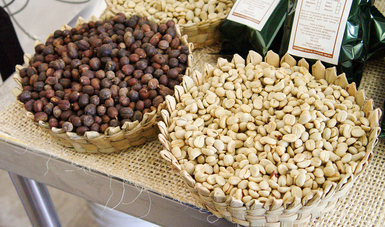 Nueva era en evaluación de precios del café beneficiará a productores y consumidores: Agricultura.