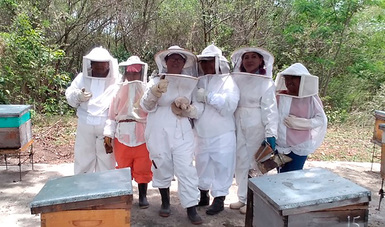Aumenta 25 por ciento producción de miel en cinco estados, con programa zoosanitario de Agricultura.