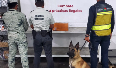 En Baja California, Guardia Nacional y aduanas de México detectan aparente fentanilo procedente de Hong Kong