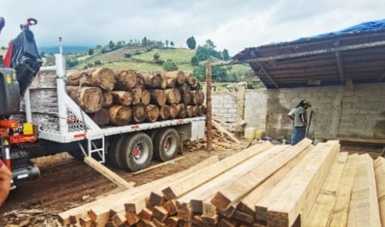 FGR asegura cuatro aserraderos en el que se procesaba madera de forma ilegal.

