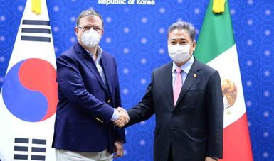 The Foreign Ministers of Mexico and South Korea agree to promote a bilateral FTA