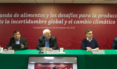 El subsecretario de Autosuficiencia Alimentaria, Víctor Suárez Carrera, informó que a productores beneficiarios de Producción para el Bienestar, a la fecha se han pagado 12 mil 857.8 millones de pesos en favor de un millón 804 mil 559 agricultores.