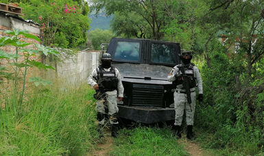 En Zacatecas, Guardia Nacional asegura vehículo con blindaje artesanal oculto entre maleza