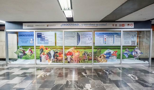Inaugura Senasica exposición en el metro de la Ciudad de México para promover importancia de la inocuidad agroalimentaria.