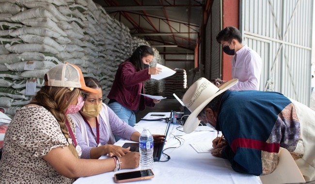 El programa inició en 2019 en Guerrero, con la atención de 278 mil 547 agricultores de maíz, frijol y arroz y, por instrucciones del presidente Andrés Manuel López Obrador, se amplió a más entidades.