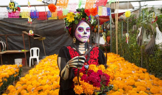 La producción nacional de esta flor se concentra principalmente en Puebla, Tlaxcala, Hidalgo, San Luis Potosí, Guerrero, Oaxaca, Morelos, Durango, Sonora y Ciudad de México. 