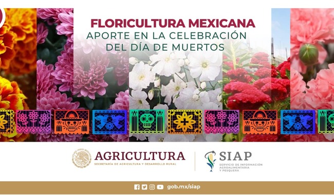 En México la celebración de los fieles difuntos data desde la época prehispánica, fecha que tiene lugar los días 1 y 2 de noviembre.
