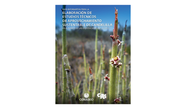 Portada de la Guía informativa para la elaboración de estudios técnicos de aprovechamiento sustentable de la Candelilla.